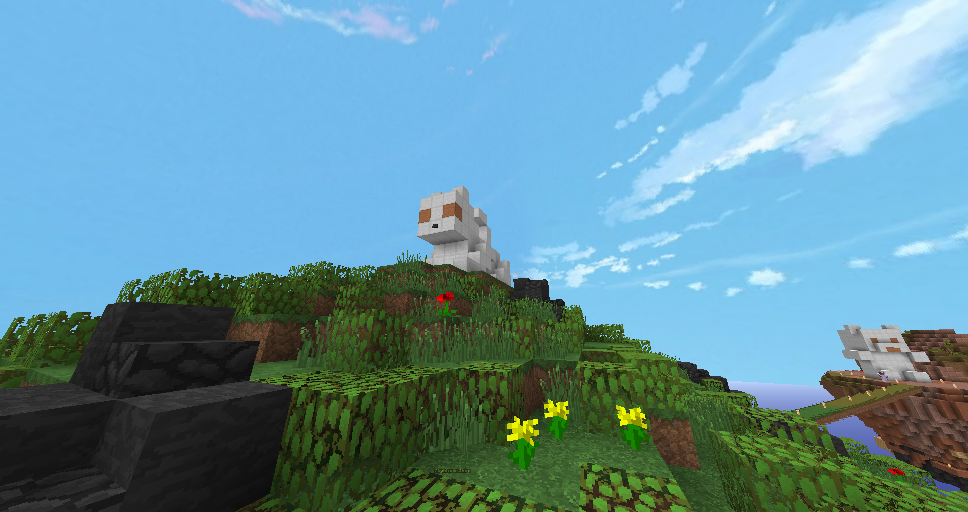LYRA CAT.png