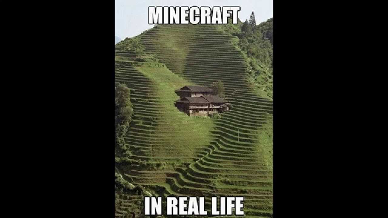 Minecraft In Real Life Cubecraft Games