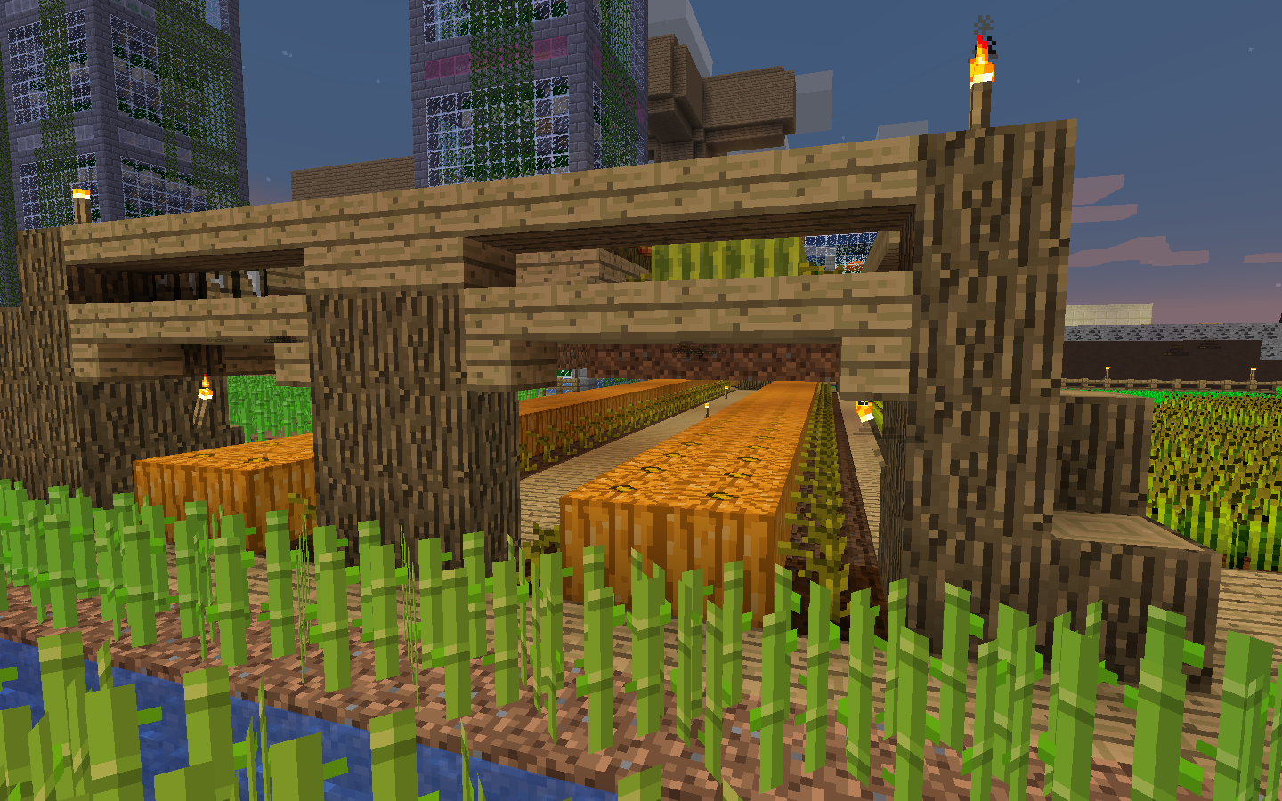 melons.png