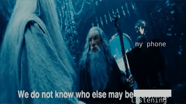 meme.gif
