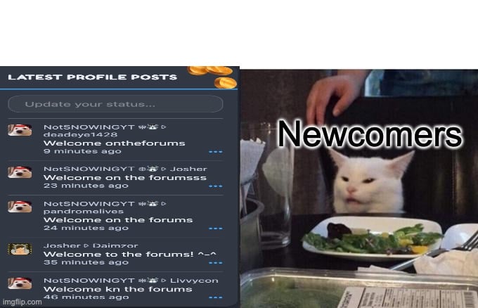 meme.jpeg