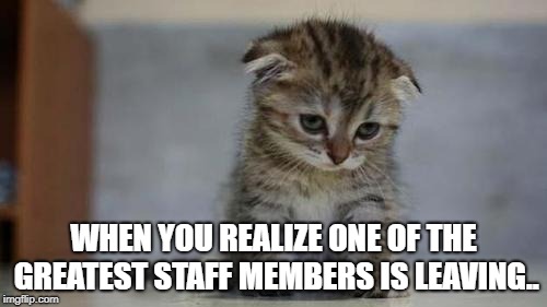 meme.jpg