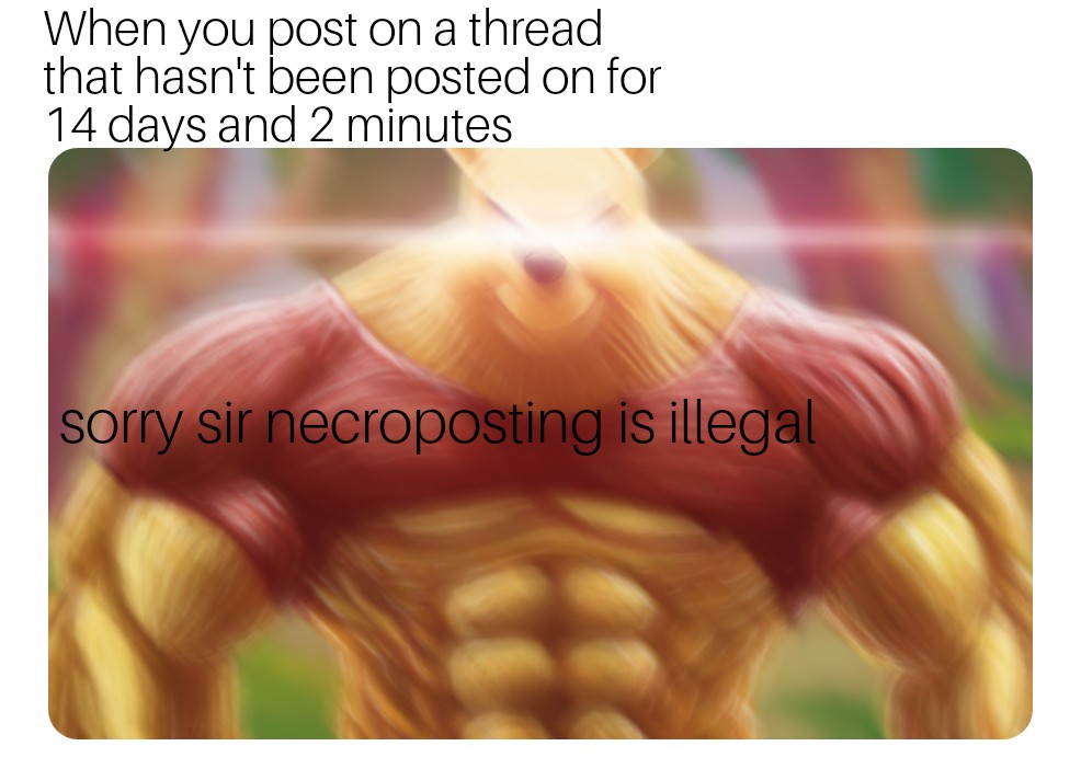 meme.jpg