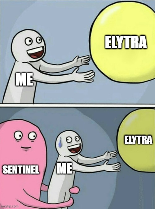 meme.jpg