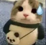 meowowowowwwow.png