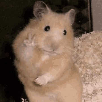 mikagf.gif