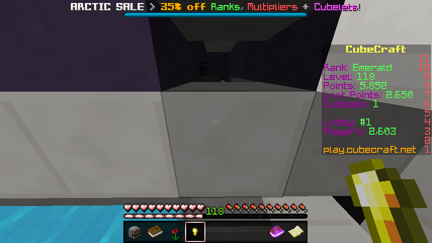 Minecraft 1.11.2 20_01_2019 14_11_53.png