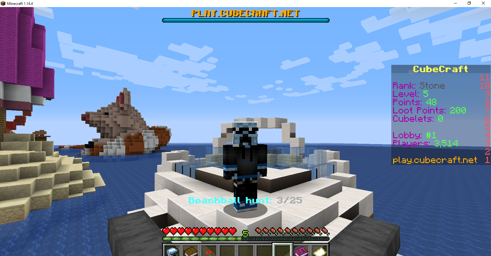 Minecraft 1.14.4 8_9_2019 10_02_32 AM.png