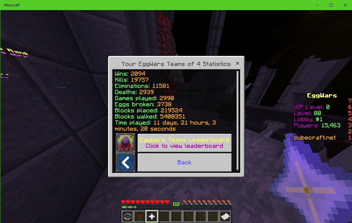 Minecraft 12_10_2020 02_38_11 p. m..png