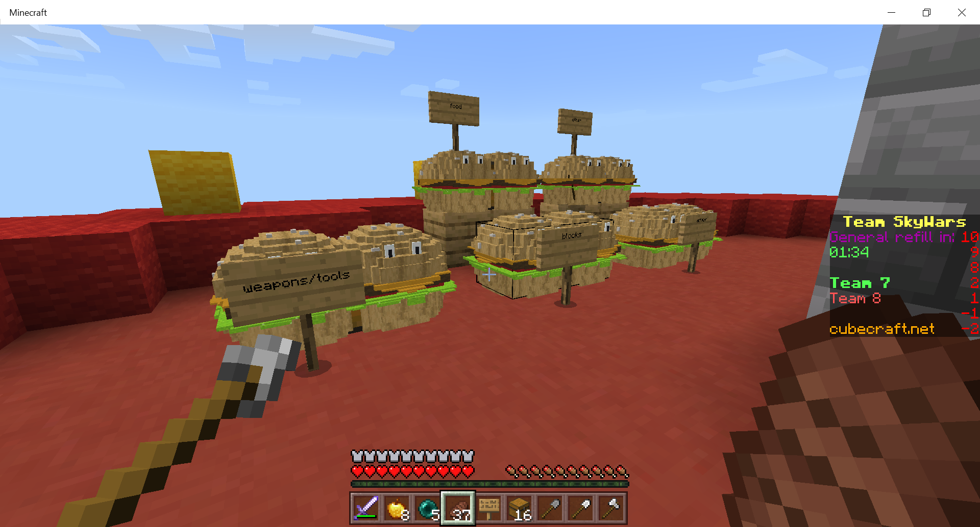 Minecraft 1_25_2021 4_49_25 PM.png