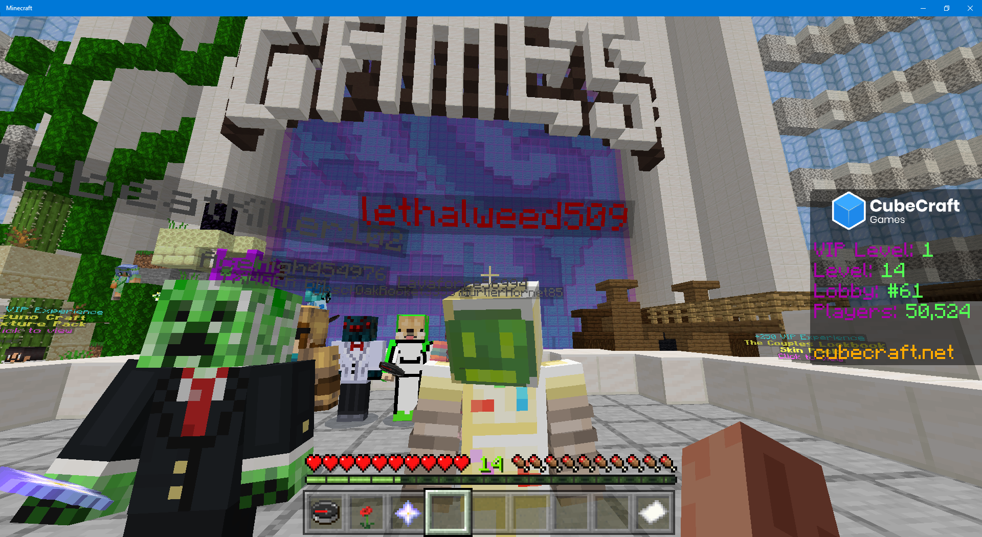 Minecraft 2_28_2021 8_09_10 PM.png