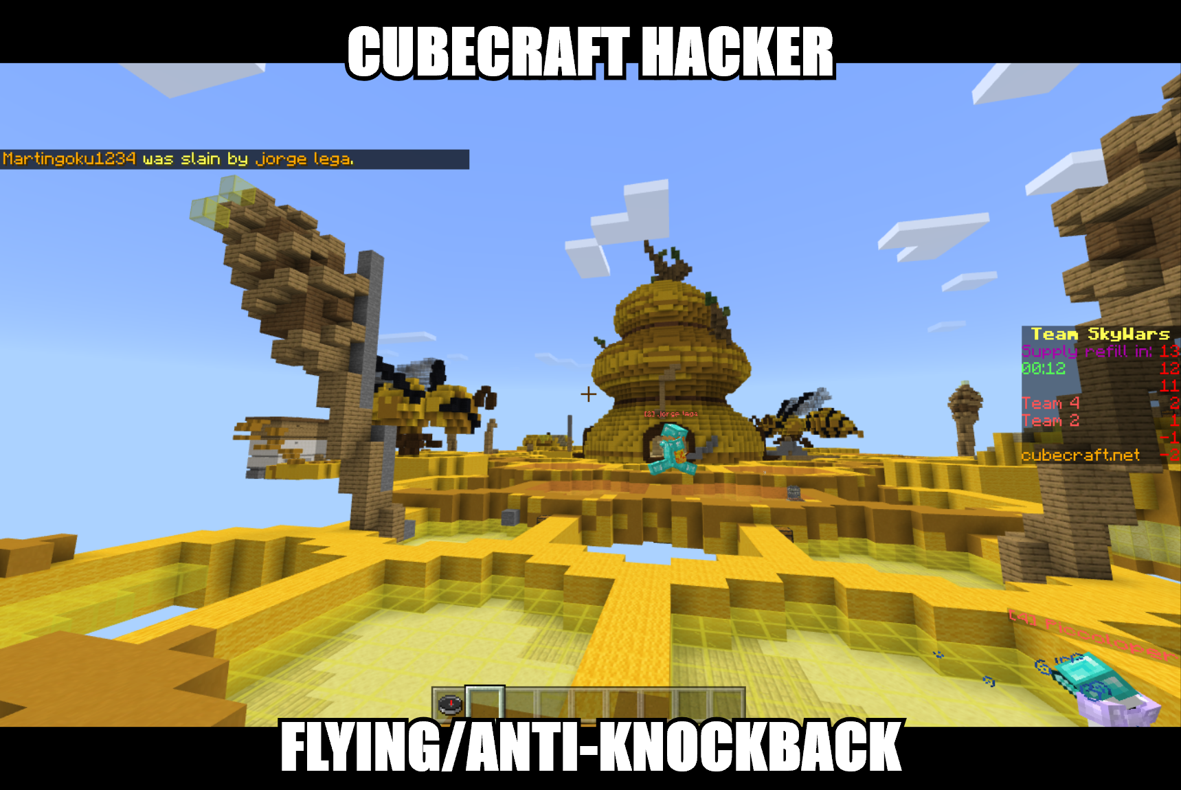 Minecraft 6_17_2020 8_50_51 PM (2).png