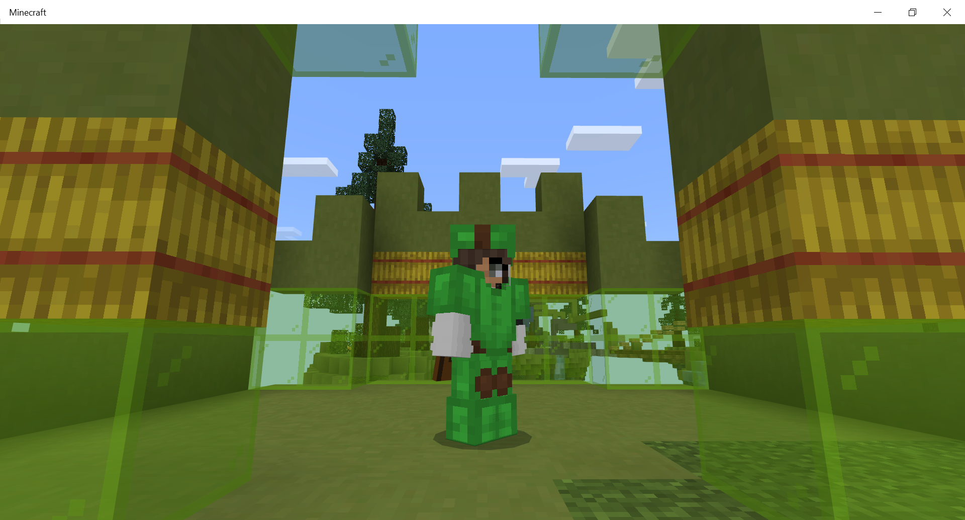 Minecraft 7_16_2020 5_28_07 PM.png