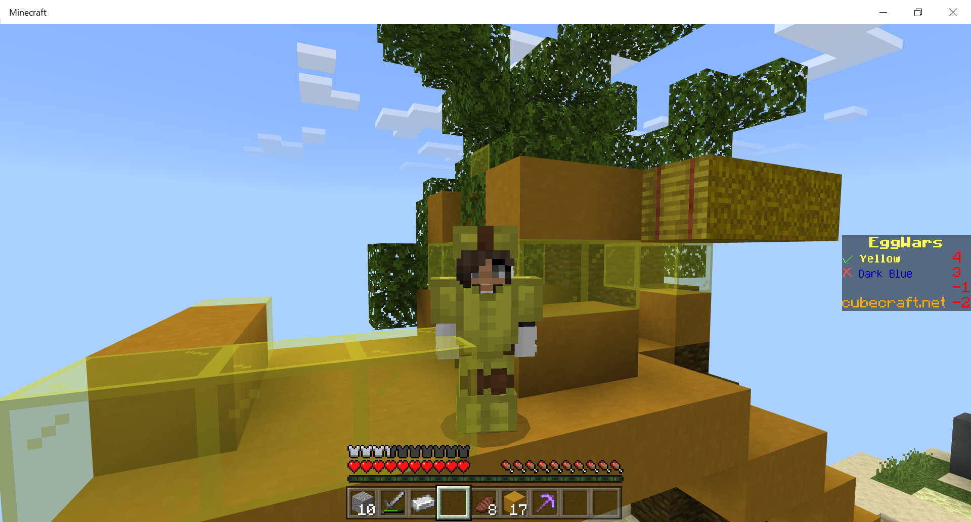 Minecraft 7_9_2020 1_00_32 PM.png
