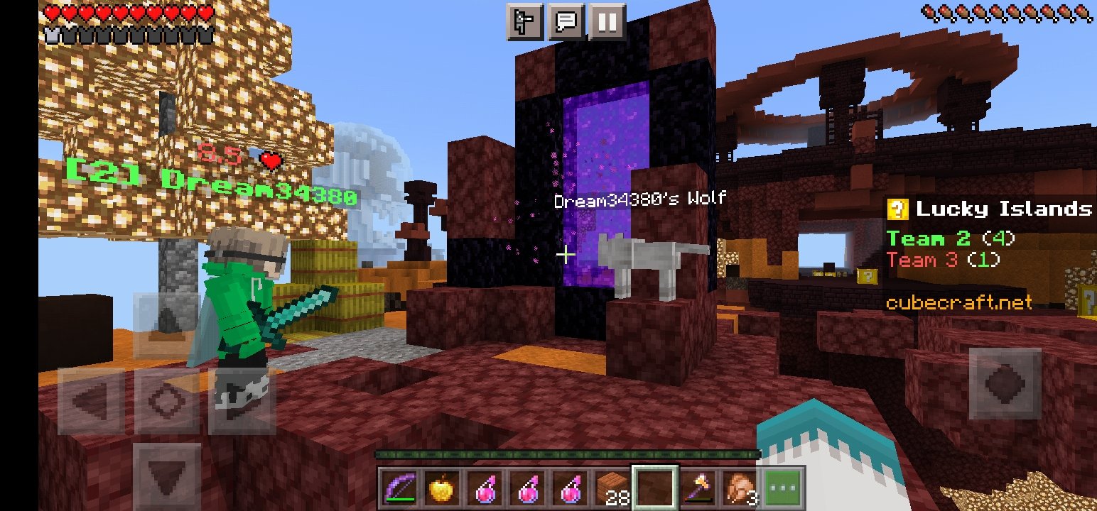 Minecraft.Cubecraft.SS.02.jpg