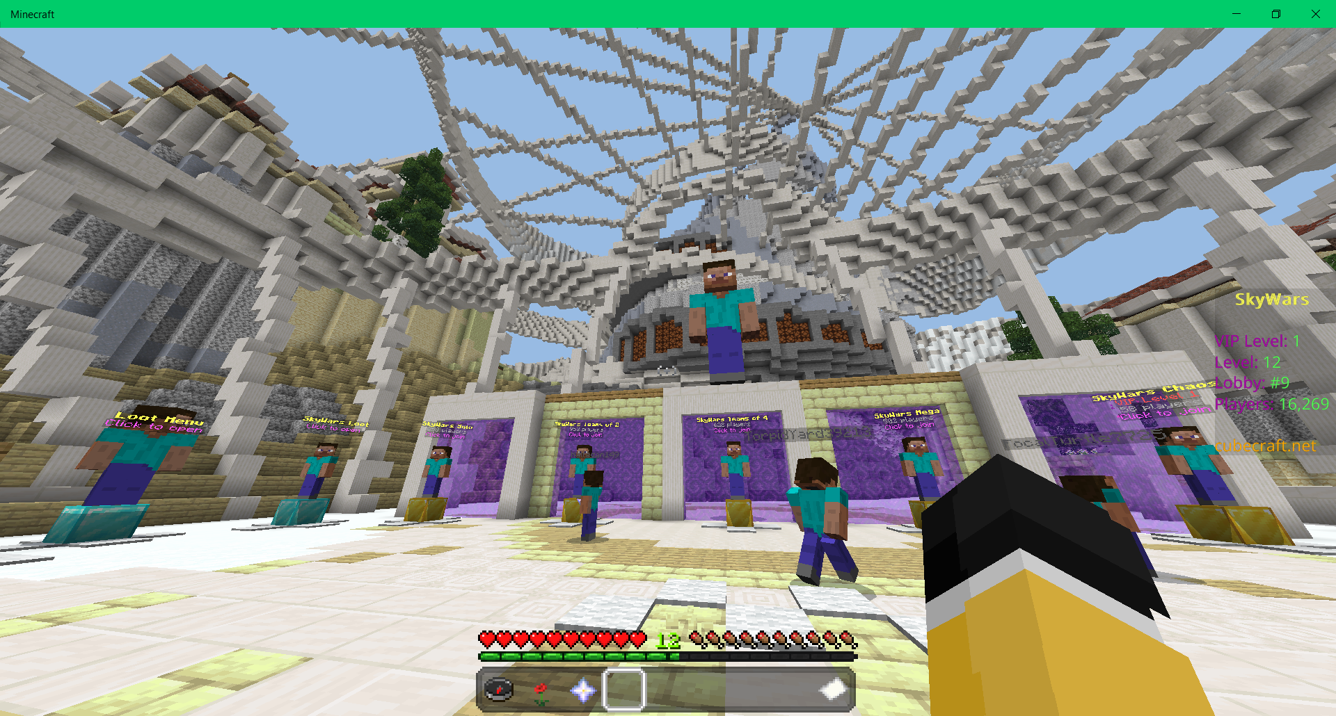Minecraft skywars.png