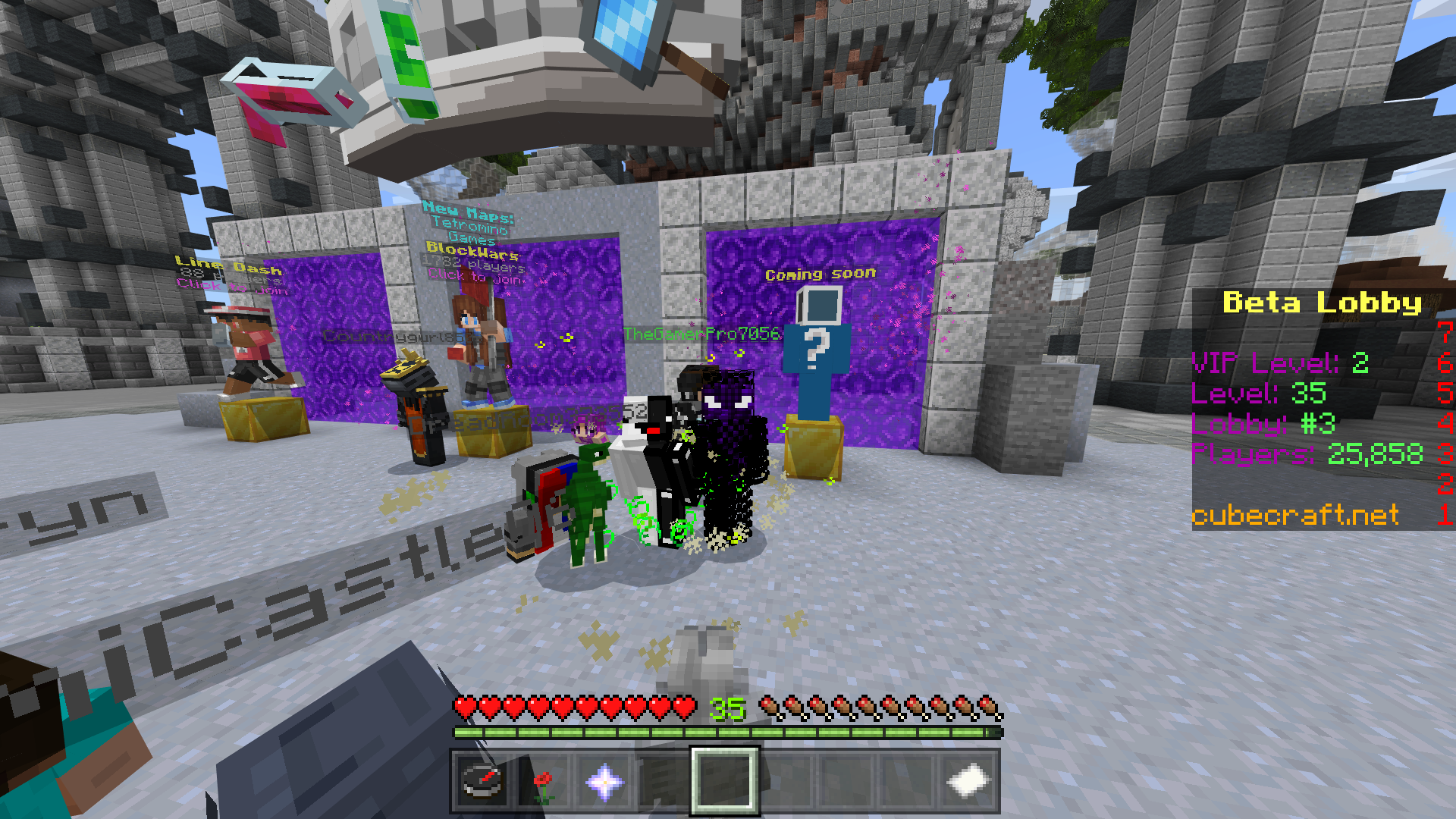 Minecraft_2.png
