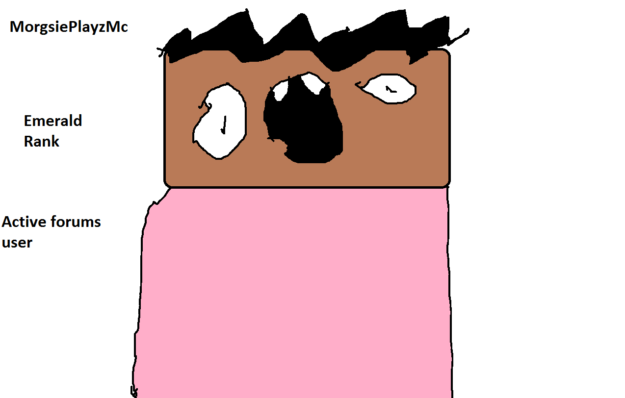 morgsieplayzmc.png