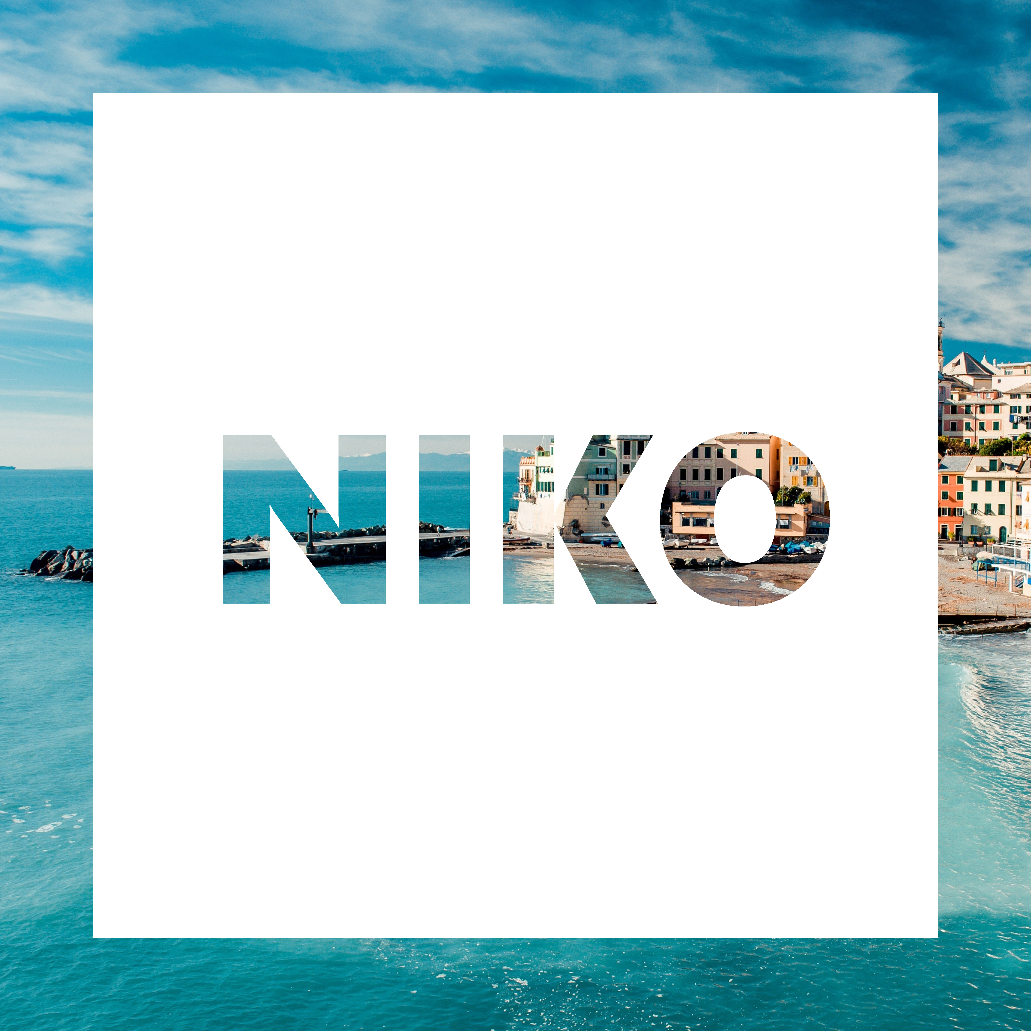 Niko.png