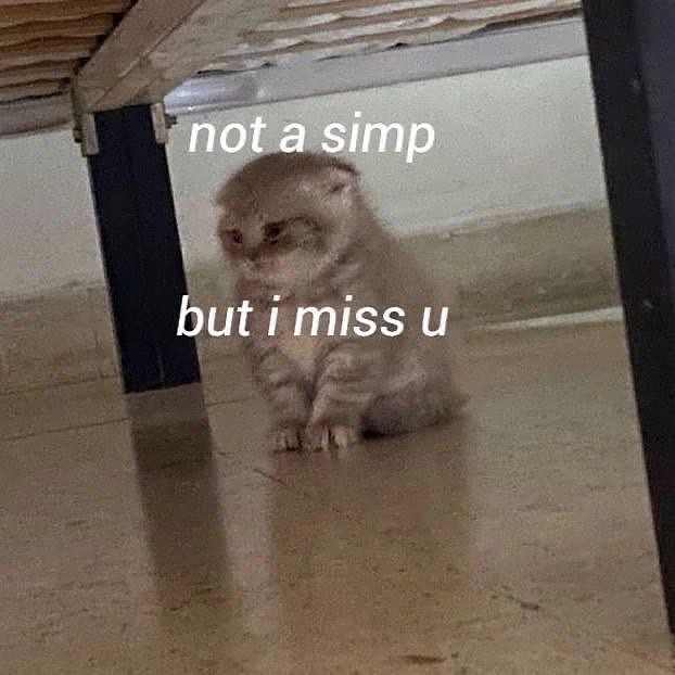 not a simp.jpg