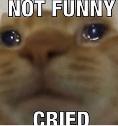 not funny cried.png