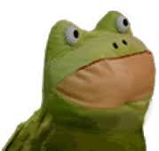 Not rainbow frog.jpeg
