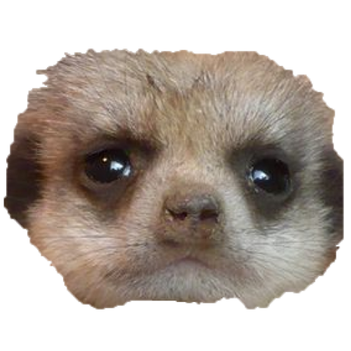 nuclide_meerkat_emote.png