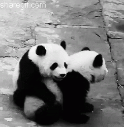 panda-hug.gif