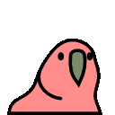 parrot-gif.134648