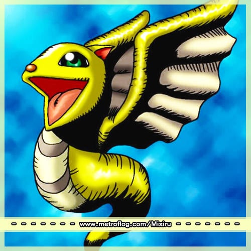 petit dragon.jpg