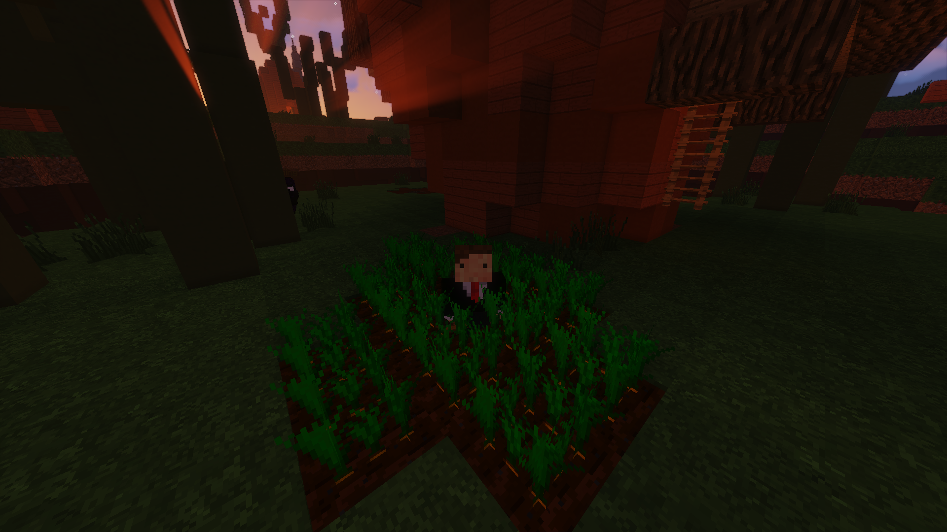 pic0.png