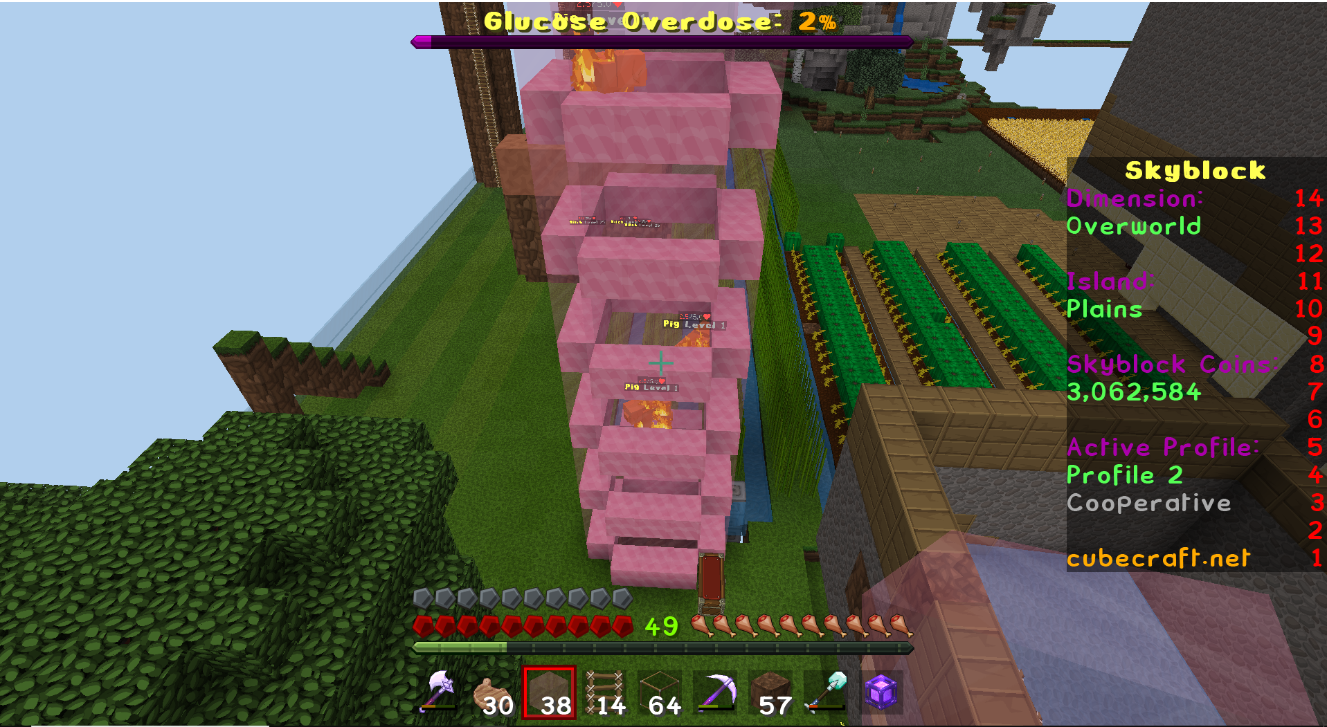 pig1.png