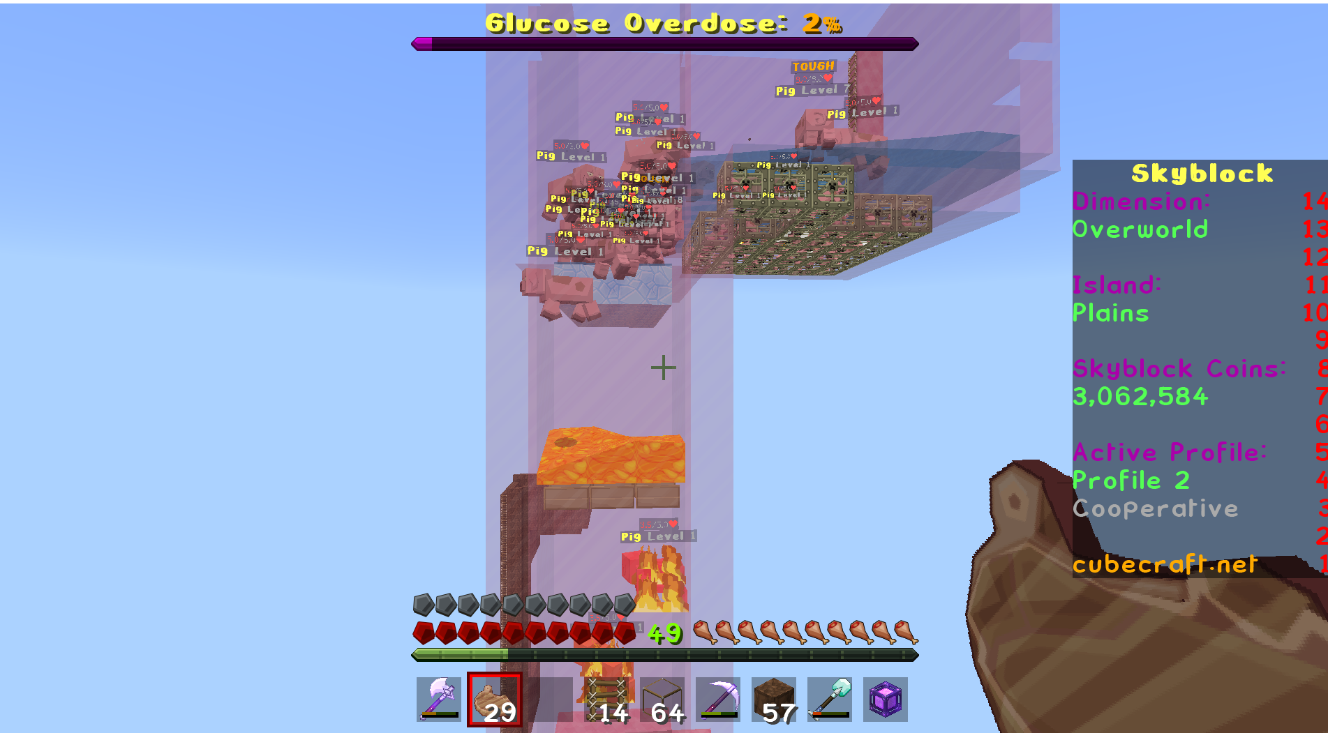 pig3.png