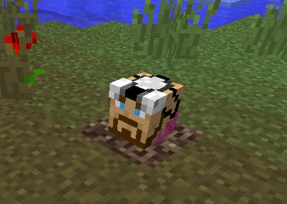 Player Grave.jpg
