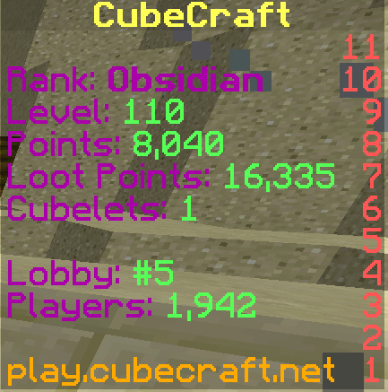 playerinformation.PNG