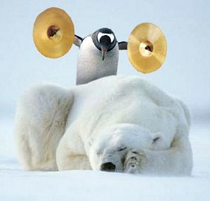 polar_bears_and_penguins.jpg