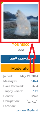 profile picture example.png