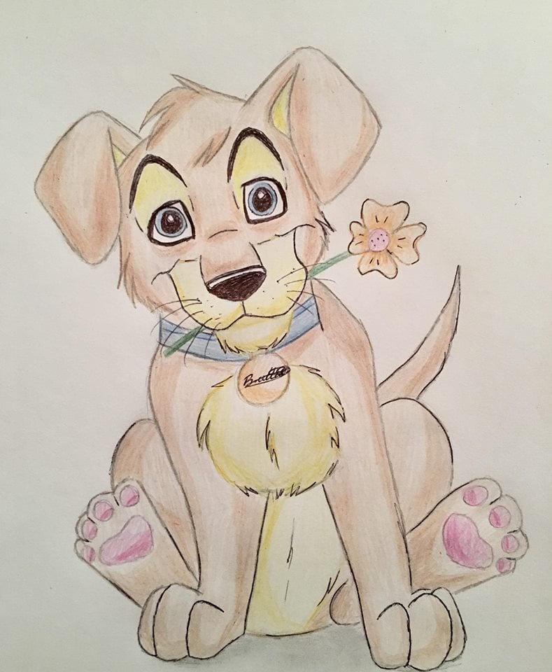 puppy.jpg