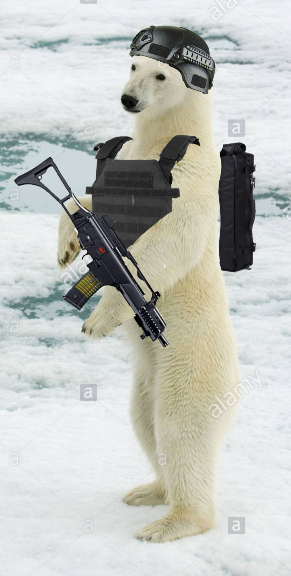 q3hq9w600bk71.png
