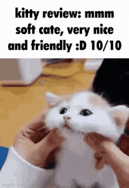 RDT_20240301_1439533381059567969348414.gif