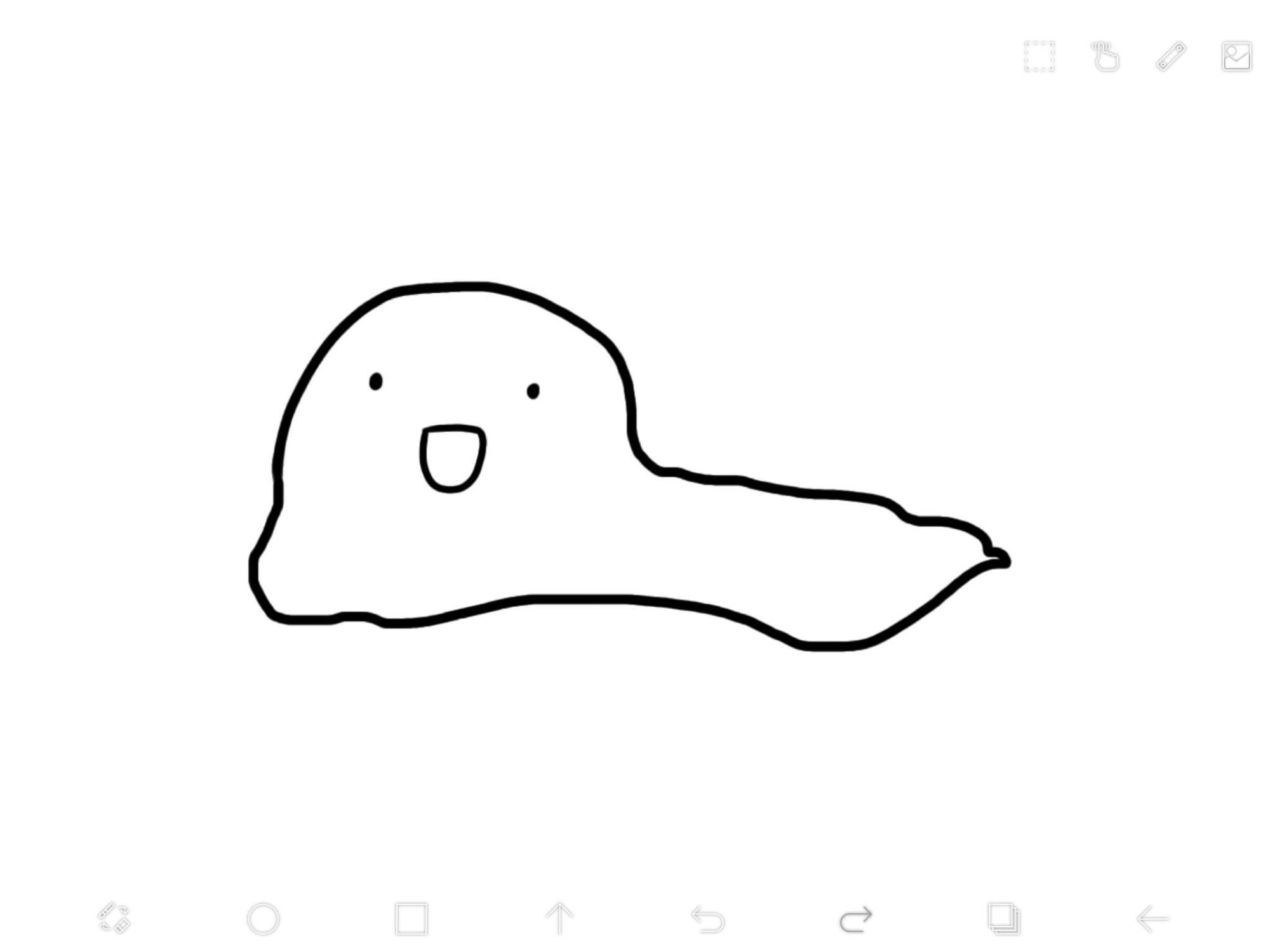 received_431702355461500.jpeg