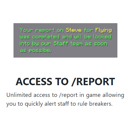 report.png