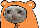 sadcatblanket.png