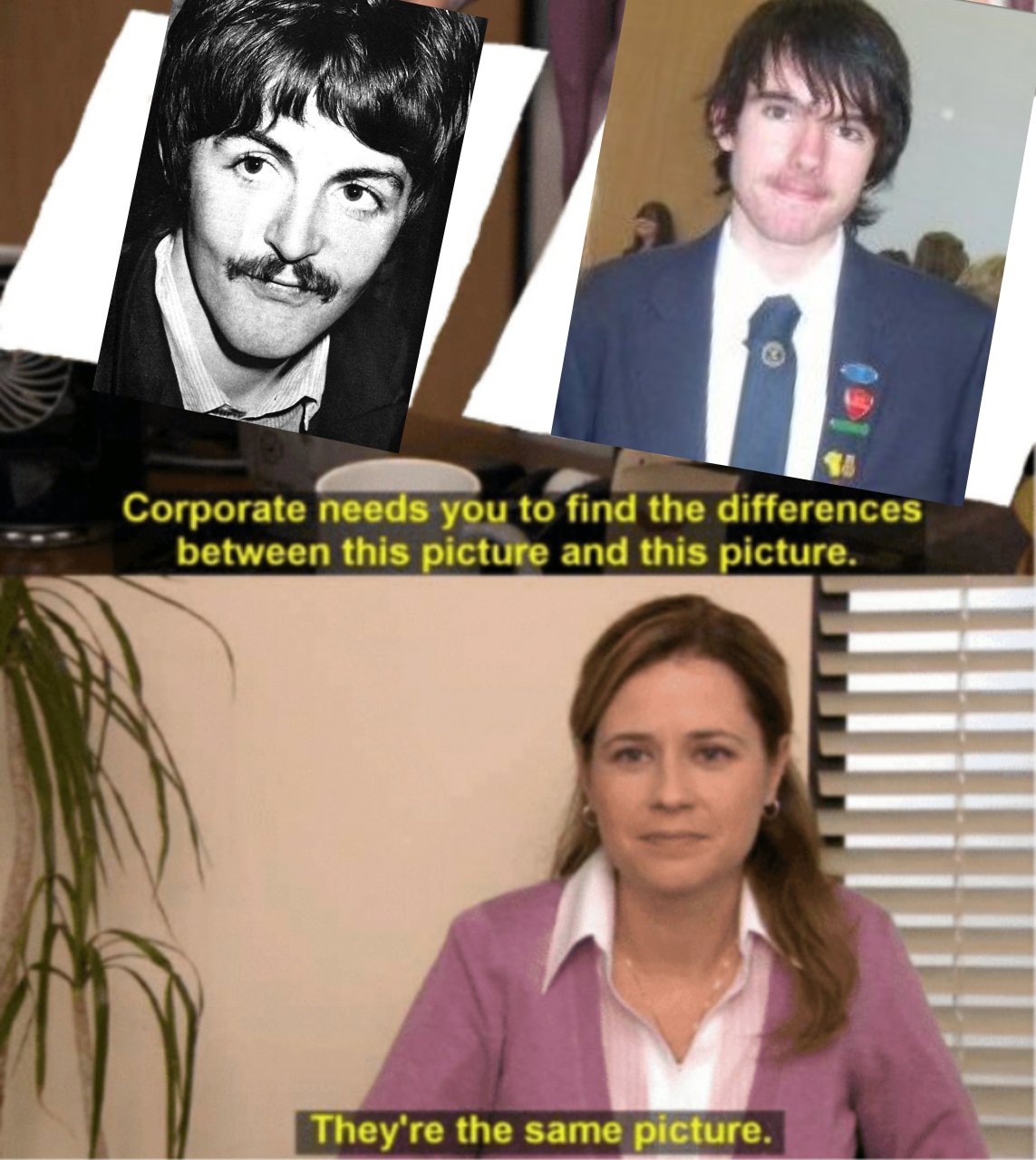 same_picture.jpeg