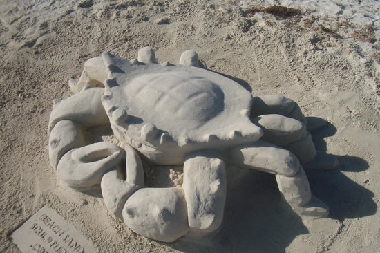 sandcastle-lessons-on.jpg