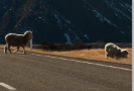 Screen Shot 2019-02-19 at 1.29.31 PM.png