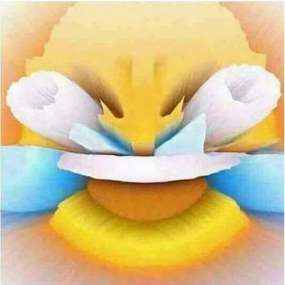 Screenshot_19.png