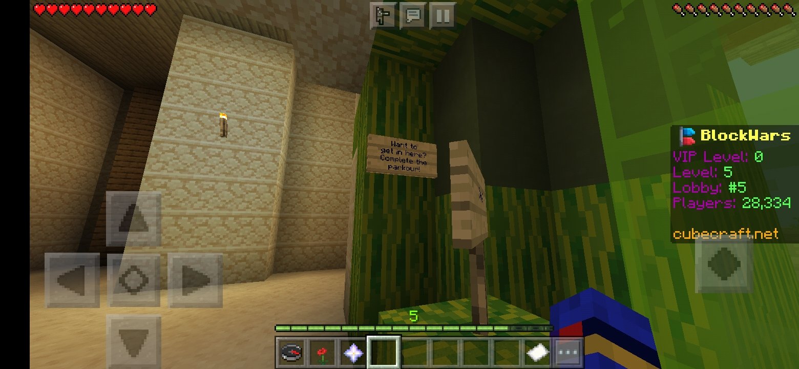 Screenshot_20210305-144420_Minecraft.jpg