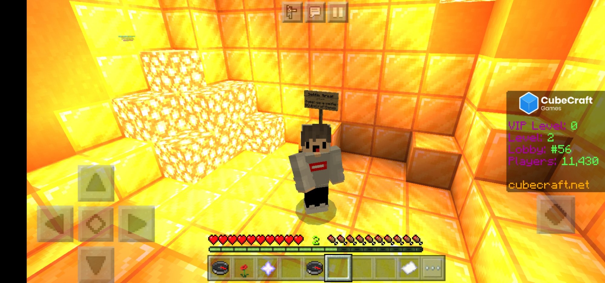Screenshot_20210406_080718_com.mojang.minecraftpe.jpg