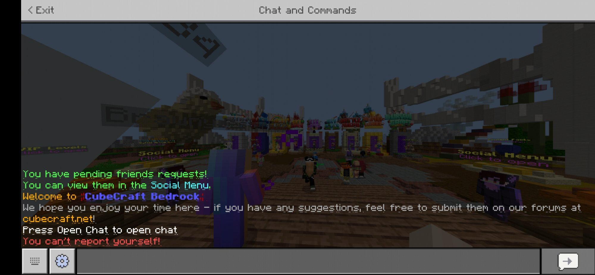 Screenshot_20210504-073314_Minecraft.jpg